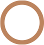 banner-shape5.png